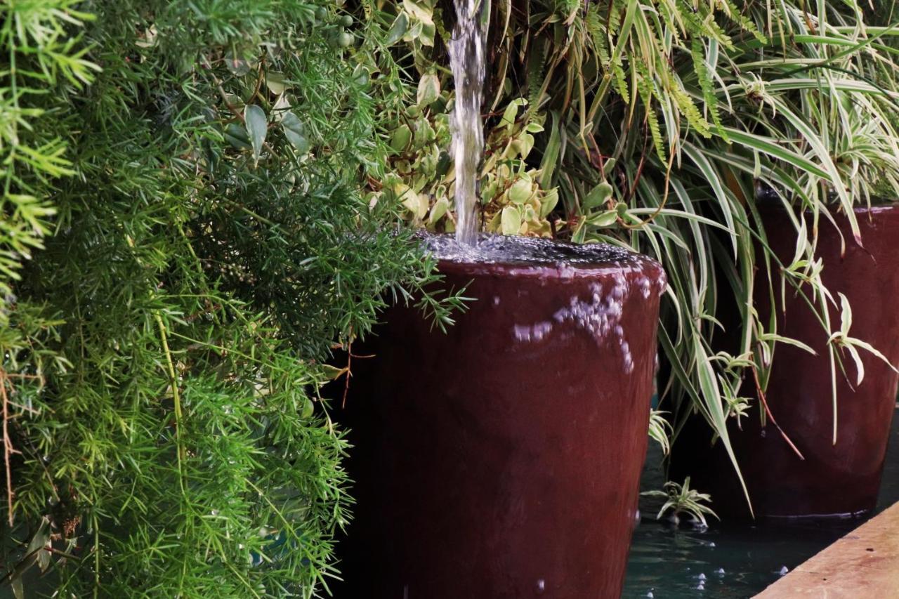 Pousada Santa Thereza Serra Negra  Εξωτερικό φωτογραφία